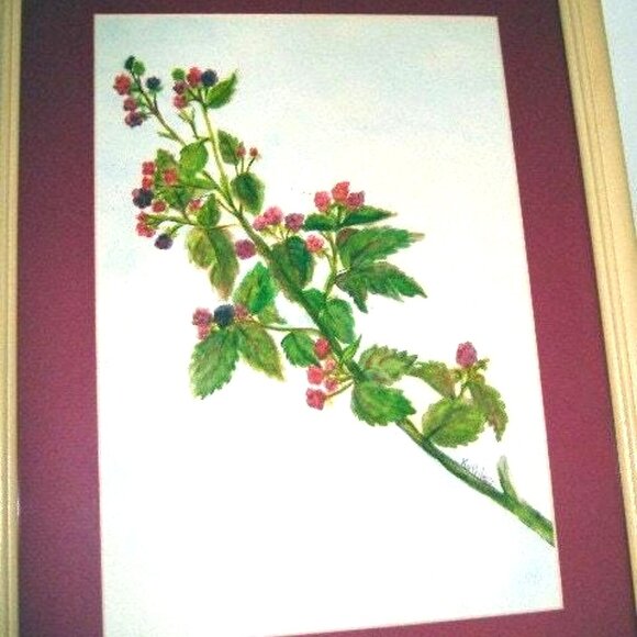 Framed Watercolor Painting Raspberries Original Artwork 19x15 Signed Authentic - Picture 8 of 9
